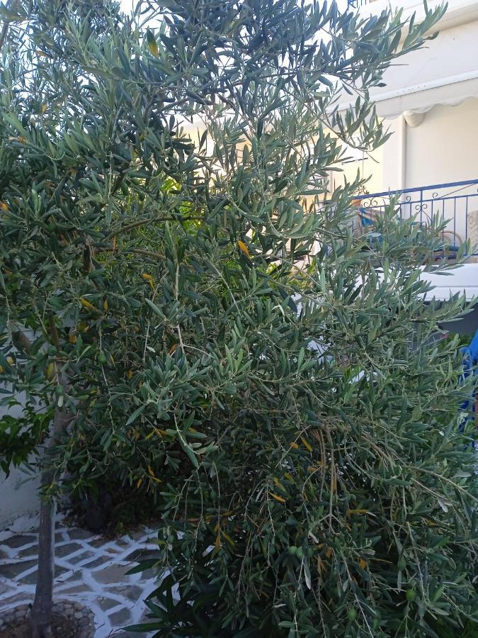פרבזה Seethesea Apartment Kanali מראה חיצוני תמונה